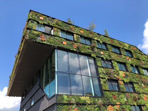 edifícios sustentáveis